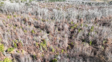 DJI_0449
