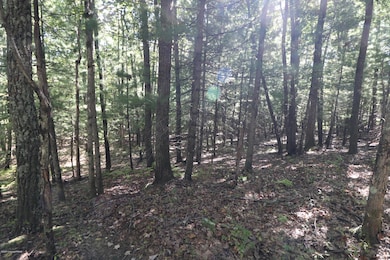 159 Majestic Dr, Chestnuthill Township, PA 18353 - photo 6