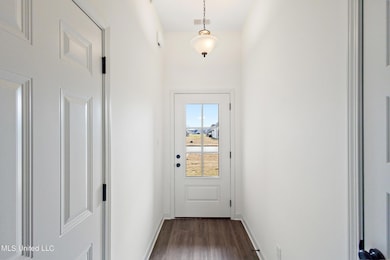 13845 Wesley Banks Blvd, Olive Branch, MS 38654 - photo 6