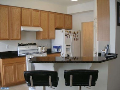 249 Tall Trees Cir, Downingtown, PA 19335 - photo 7