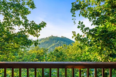 2201 Fox Berry Way, Sevierville, TN 37876 - photo 6