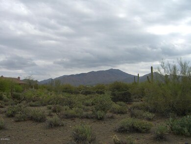 PHOTO #6