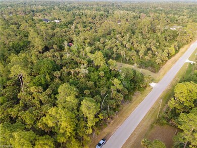 34th Se Ave, Naples, FL 34117 - photo 3