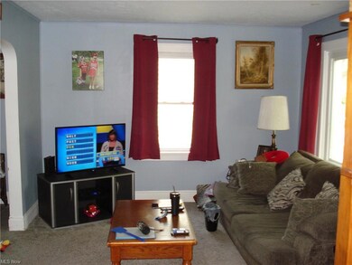 5639 N River Rd W, Geneva, OH 44041 - photo 6