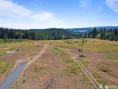 597 Brown, Adna, WA 98522 - photo 2