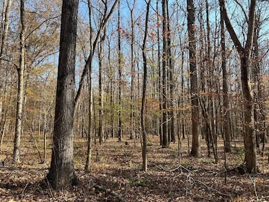 Ga Hwy 142, Shady Dale, GA 31064 - photo 7