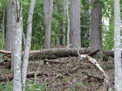 1377 Leisure Ln unit 23, Jacks Creek, NC 28714 - photo 5