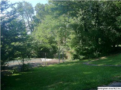 Backyard with the pool beyond the chain link fence