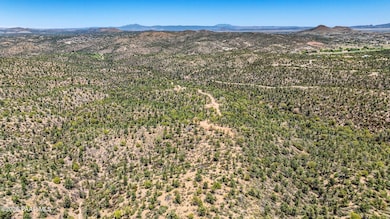 0 N Buckhorn 17 Trail, Prescott, AZ 86303 - photo 3