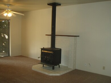wood stove