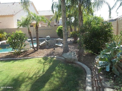 backyard pool back