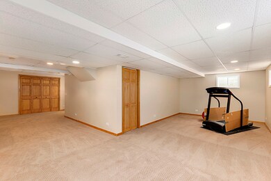 4107 Joe Willie Dr, Naperville, IL 60564 - photo 7