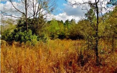 TBD 43rd Dr, Branford, FL 32008 - photo 3