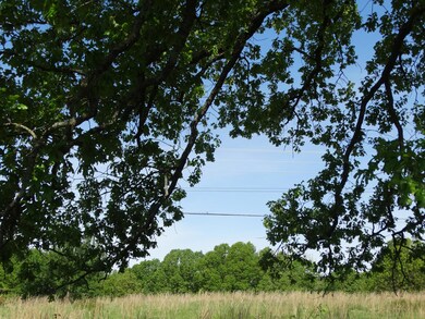 14.50ac Old Wilderness Rd, Reeds Spring, MO 65737 - photo 4