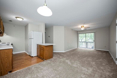 20240917-251-Simpson-Ave-220-tem-010