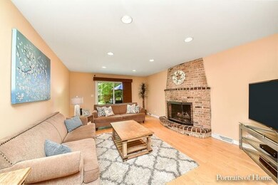 1135 Chateaugay Ave, Naperville, IL 60540 - photo 3