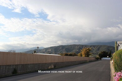 #254 view from front-MLS