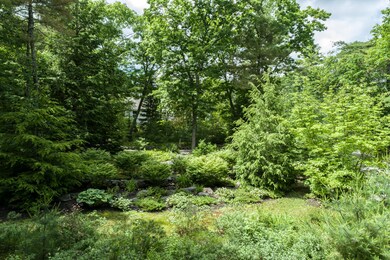 54-Front gardens (3 of 8)
