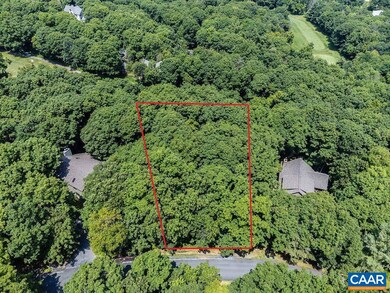 63 N Forest Dr, Roseland, VA 22967 - photo 4