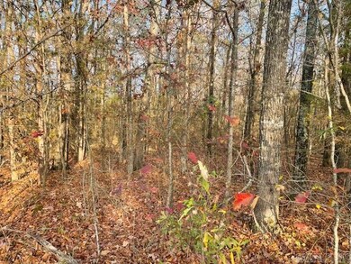 000 Davidson Cir, Edgemont, AR 72044 - photo 6