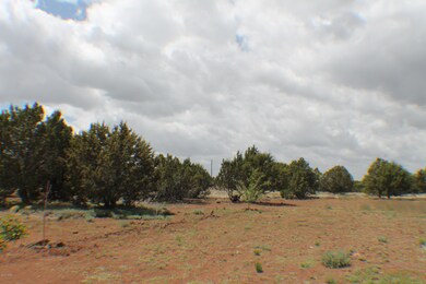 Parcel B Bourdon Ranch Rd, Show Low, AZ 85901 - photo 4