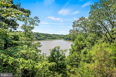 Clipper Cay unit 116, Annapolis, MD 21401 - photo 2