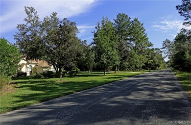 1601 E Tradewind Dr, Hernando, FL 34442 - photo 6