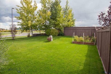 Oversized Backyard