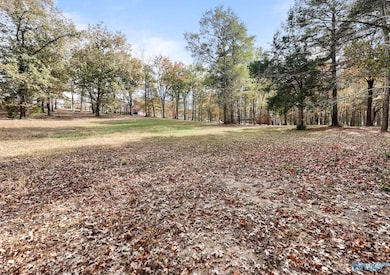 1.77 Ac Riverview Cir, Scottsboro, AL 35769 - photo 6