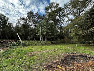 27102 Springwood Dr, Magnolia, TX 77354 - photo 3