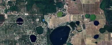 3007 Cacao Rd, Lake Placid, FL 33852 - photo 3