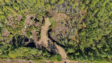 0 NE 212th St unit MFRG5104432, Fort McCoy, FL 32134 - photo 4