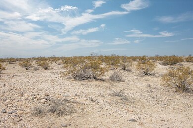 2649 Delaware Ave, Joshua Tree, CA 92252 - photo 4