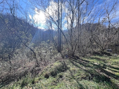 99999 Ky 2030, Martin, KY 41649 - photo 4