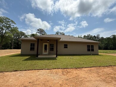 131 Jake Smith Rd, Carriere, MS 39426 - photo 6