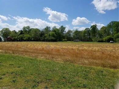 0 Young Rd, Ramseur, NC 27316 - photo 3