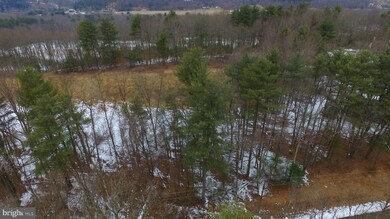 0 N Side of Stoney Ln unit PASK127688, New Ringgold, PA 17960 - photo 7