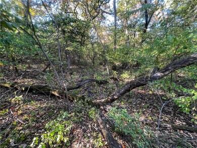 0 SE 10th St, Tecumseh, KS 66542 - photo 5