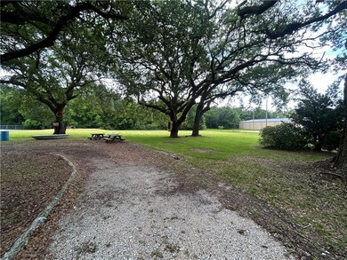View of green lawn