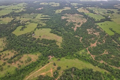 Bird's eye view featuring a rural view