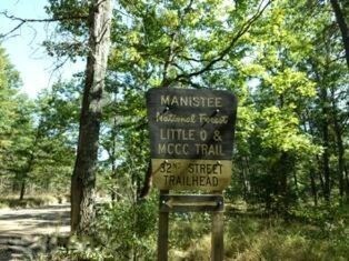 5353 W 32nd St, Baldwin, MI 49304 - photo 2