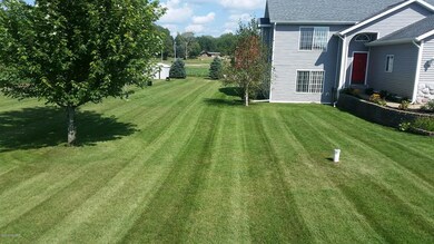 summer side yard