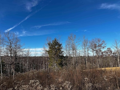 000 Heulan Way, Mountain View, AR 72560 - photo 5