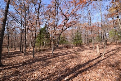 001 S Highway Aa N A, Stockton, MO 65785 - photo 3