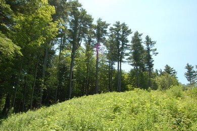 Fields
