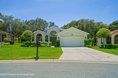 photos_high_resolution_001_Front