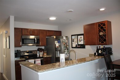 18749 Vineyard Point Ln unit 27, Cornelius, NC 28031 - photo 5