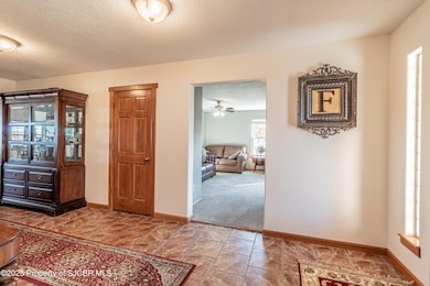 918 Road 4990, Bloomfield, NM 87413 - photo 7