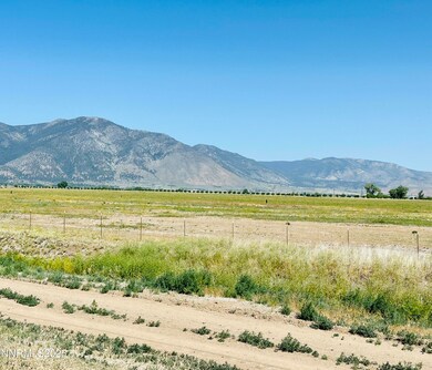1171 White Oak Loop, Minden, NV 89423 - photo 3