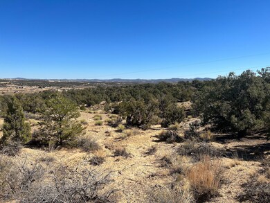 0 New Mexico 574, Aztec, NM 87410 - photo 5